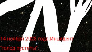 14 ноября 2028 года. Инцидент«голод пустоты»