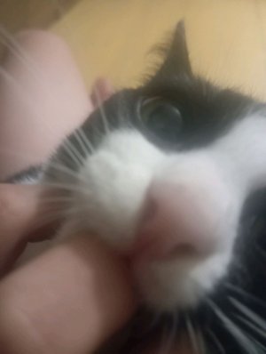 Заходи общаемся