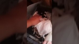 знакомство снами