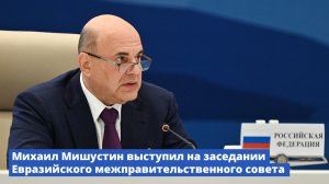 Михаил Мишустин выступил на заседании Евразийского межправительственного совета в Чолпон-Ате