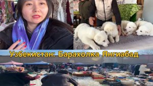 🇺🇿БЛОШИНЫЙ РЫНОК ЯНГИАБАД. Барахолка Тезяковка в Узбекистане.