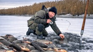 ОПУСТИЛ КАМЕРУ, А ТУТ КАРАСЬ НА КАРАСЕ! ЭТО ЖОР КАРАСЯ ЗИМОЙ! Зимняя рыбалка 2026