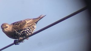 IMG_6944