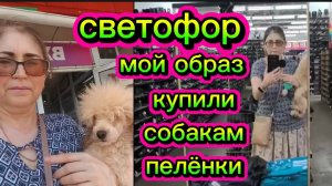 В Светофор за пелёнками для собак Почти ничего не купили