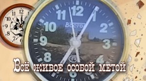 Все живое особой метой