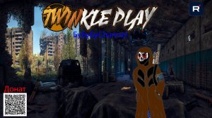 TWINKLE NH Сталкер ПВЕ Мой любимый сервер,Будни наемника.Квесты.В поисках Шабаша)Припять