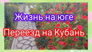 08-08-2026/ Живём и работаем на Кубани/ Собираю урожай/ Напали вредители на перец 🫣/ Жизнь на юге/
