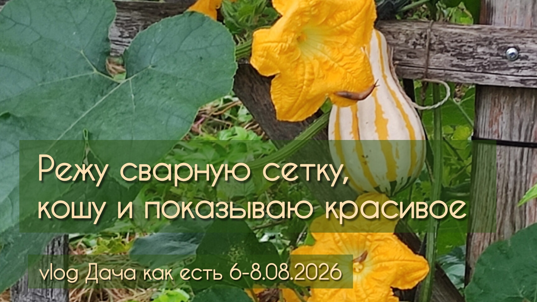 Дачные будни. Доделываю опору, кошу, показываю красивое / Vlog Дача как есть 6-8.08.2026
