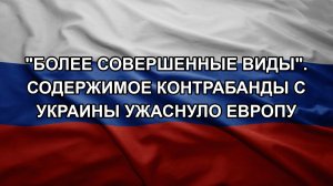 «Более совершенные виды». Содержимое контрабанды с Украины ужаснуло Европу