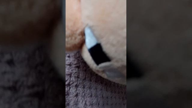 заказал фуфику антистрес😨