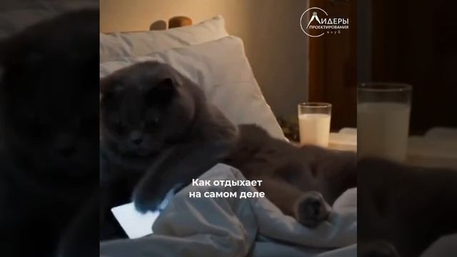 Коллеги, желаем вам хороших выходных!