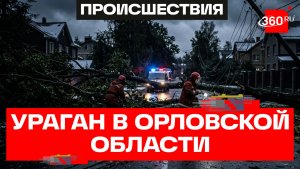 16 тыс. жителей Орловской области остались без электричества из-за непогоды