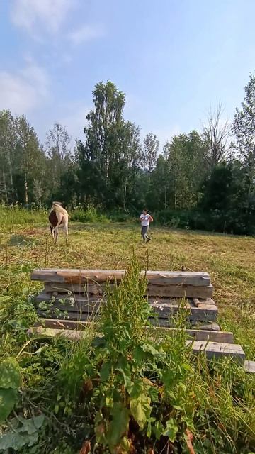 Работаем потихоньку