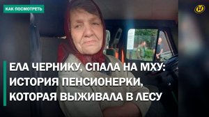 Две недели в лесу без еды и воды. Как удалось выжить заблудившейся пенсионерке?