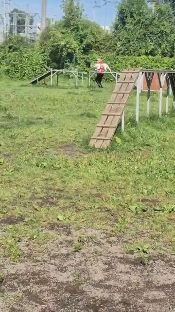 rutube.ru