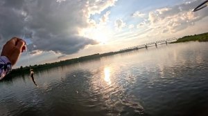 МИКРОДЖИГ | ВЕЧЁРКА | ТОМЬ