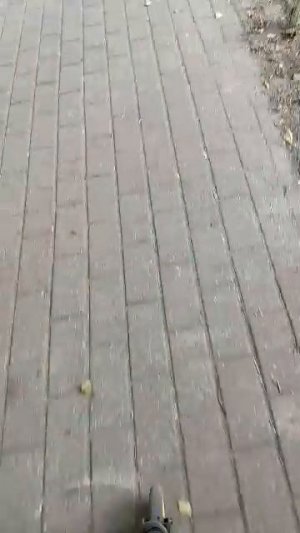 гуляю