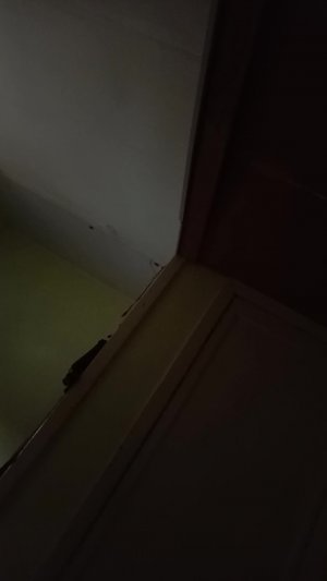 Рпрролто