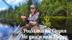 Ну наконец -то, после Наводнений и нескольких Бурь, я выехал на рыбалку ,за окунем На таёжный пруд.