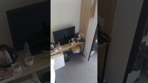 Влог из Сочи