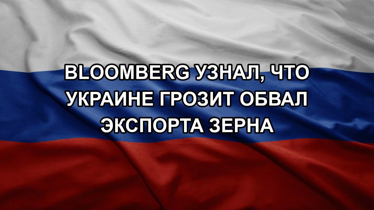 Bloomberg узнал, что Украине грозит обвал экспорта зерна