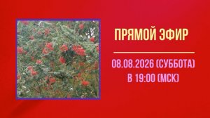 Анонс эфира 08.08.2026