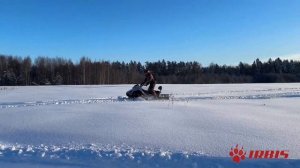 Новинка! Снегоход IRBIS SF300PRO