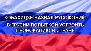 |Н. РФ| Кобахидзе назвал русофобию в Грузии попыткой устроить провокацию в стране