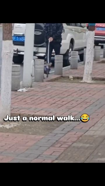 Приятное с полезным😊))