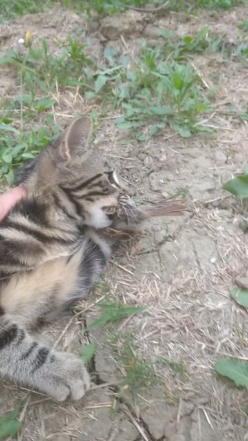 Способный, не по возрасту!