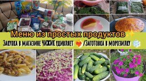 Жизнь на кухне ✨/Закупка продуктов🛒/Макароны с фаршем🥘/Сельдь под шубой🫜/Заготовки в морозилку❄️