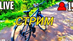 катаемся играем в бандитов.