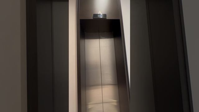 41352.mp4