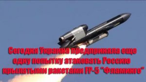FP-5 «Фламинго» попытка нанести удар баллистическими ракетами по территории Рф