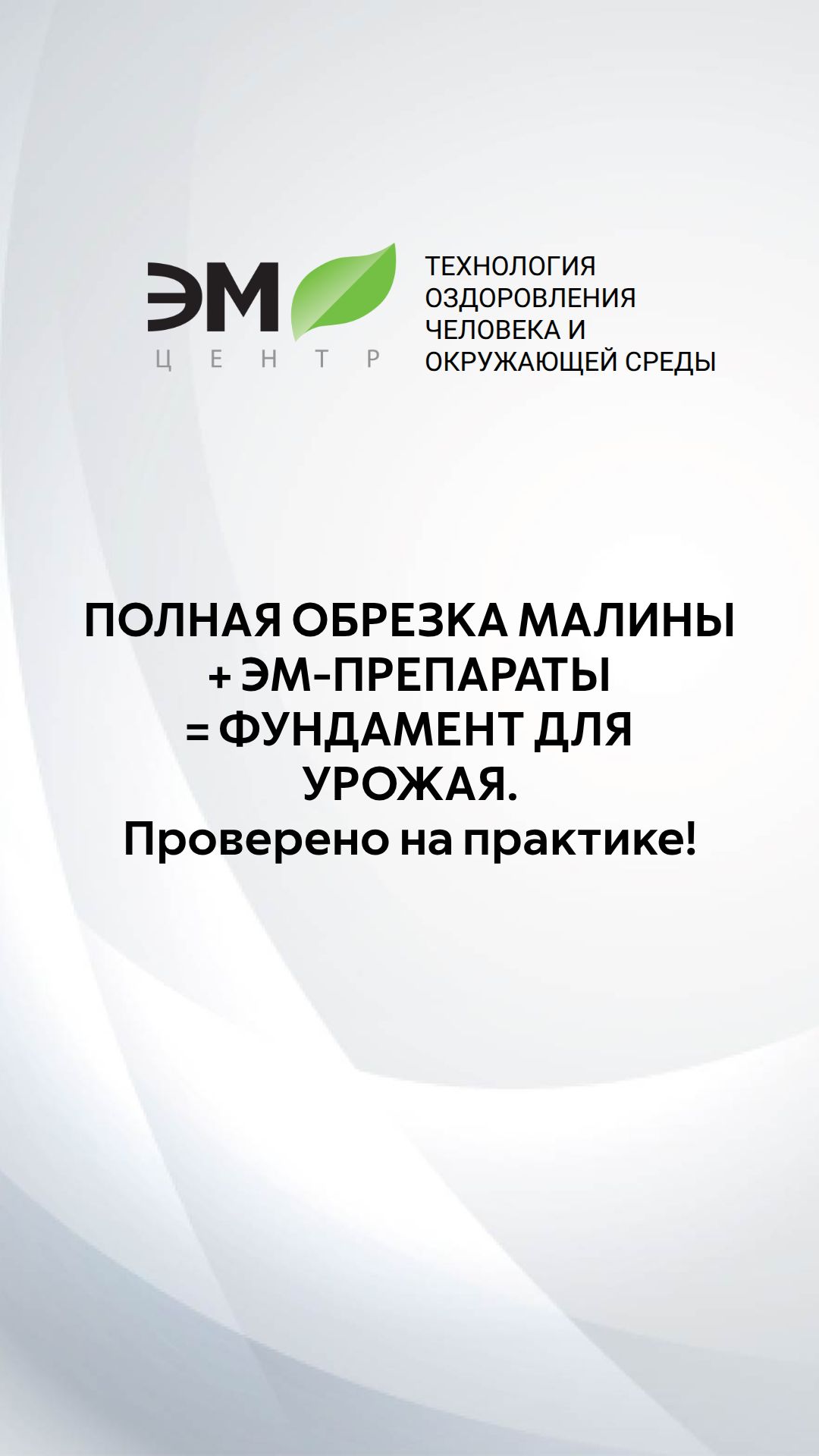 Полная обрезка+ЭМ-препараты=Фундамент для урожая