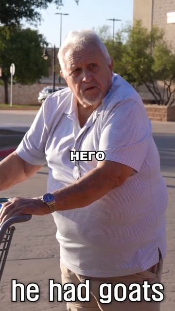 Старик под мостом держал коз и нападал на прохожих
