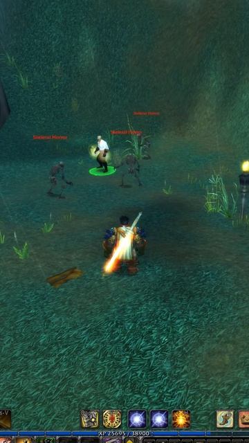 Custom Wow Ascension #2 #shorts #wow #wowascension #wowhc #worldofwarcraft #projectascension