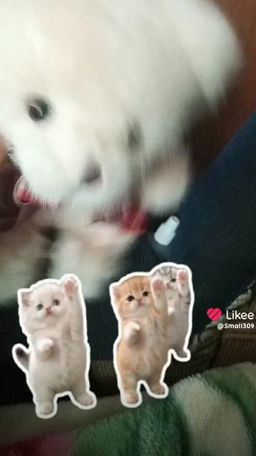 1000020953.mp4