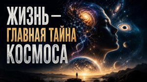 Жизнь — ошибка Вселенной или её главный закон? ЛЕКЦИЯ ДЛЯ СНА 🌙