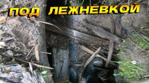 Выезд в лес по Лайту_Металл есть_Грибы есть #копметаллавлесу  #металлокоп