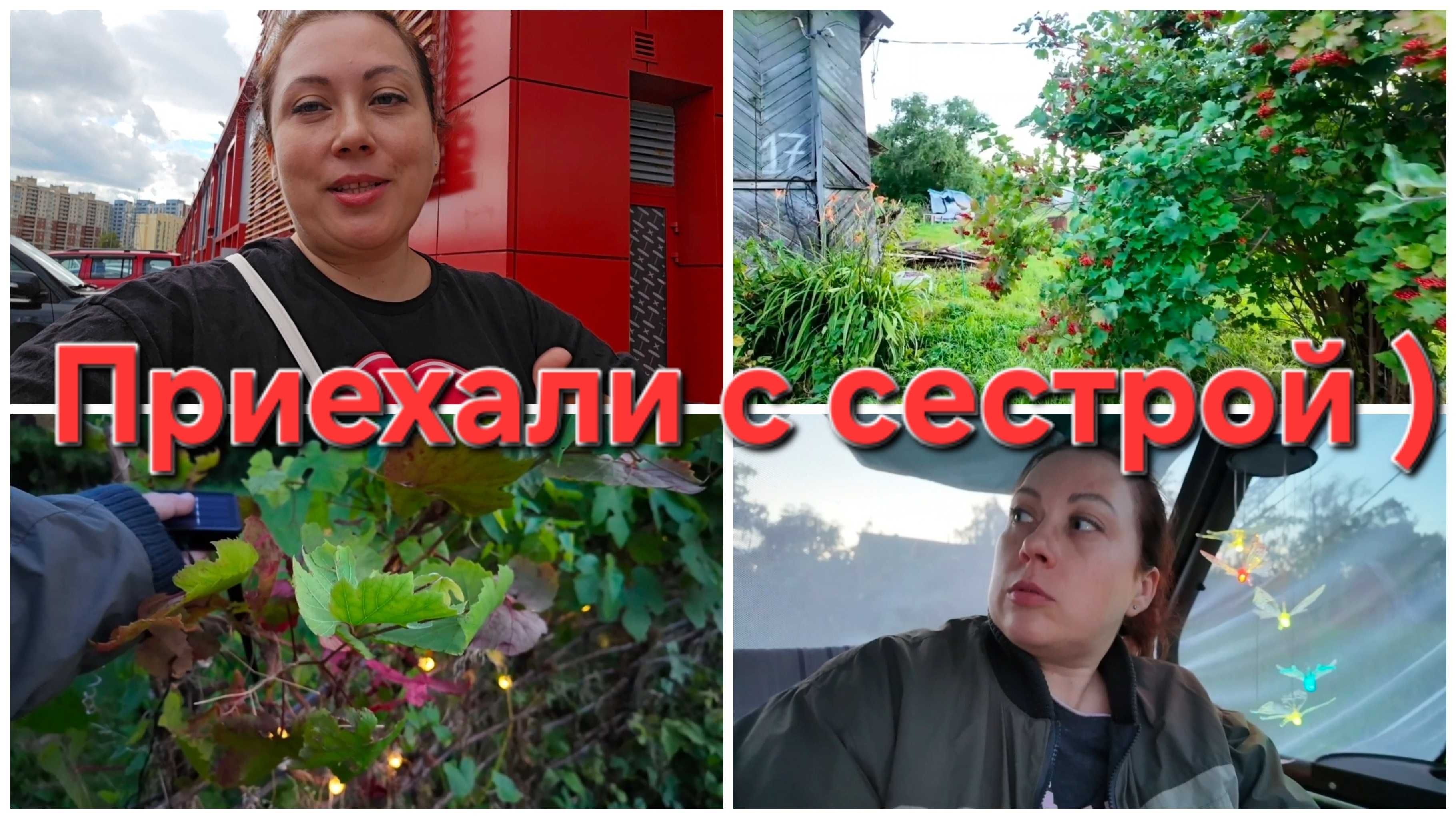 07-08-2026 На дачу! С новой техникой.