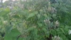 Всё еще провожу  раскопки