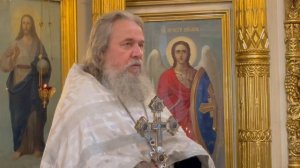 Что значит жить, исполняя волю Божию. Протоиерей Сергий Кандыбин