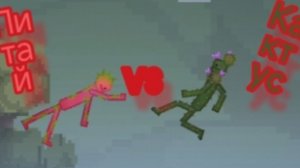 питай VS кактус