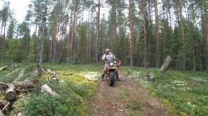 НА МОТОВЕЗДЕХОДЕ ПО БОРАМ, ГРИБНАЯ РАЗВЕДКА! ГДЕ РАСТУТ ЛИСИЧКИ? ЖИЗНЬ В ДЕРЕВНЕ, СНАСТИ НА КРУПНЯК!