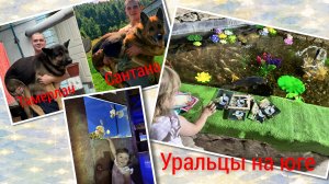 То что дорого!Ох уж эта кошка!Семейный вечер.