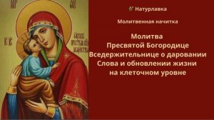 40. Молитва  даровании Слова и обновлении жизни на клеточном уровне.