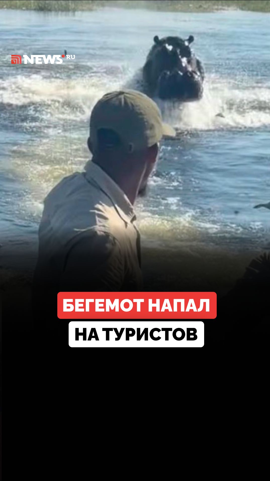 Бегемот напал на лодку с туристами в Африке