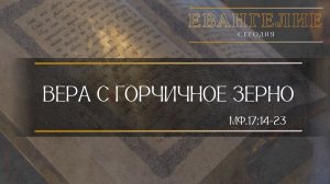 Евангелие Сегодня: Вера с горчичное зерно (Мф.17:14-23)