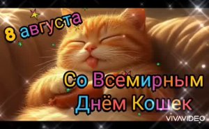 8 АВГУСТА - ДЕНЬ КОШЕК *** КОШКИ-КОШКИ-КОШКИ, КОШКИ И КОТЫ» *** С ДНЁМ КОШЕК !!!  ***